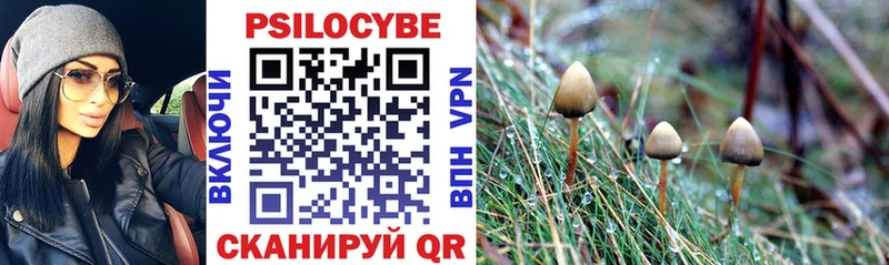 где купить   Ливны  Псилоцибиновые грибы Psilocybine cubensis 