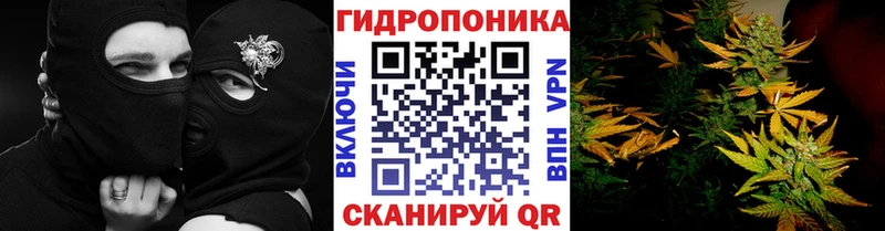 Марихуана ГИДРОПОН  Ливны 